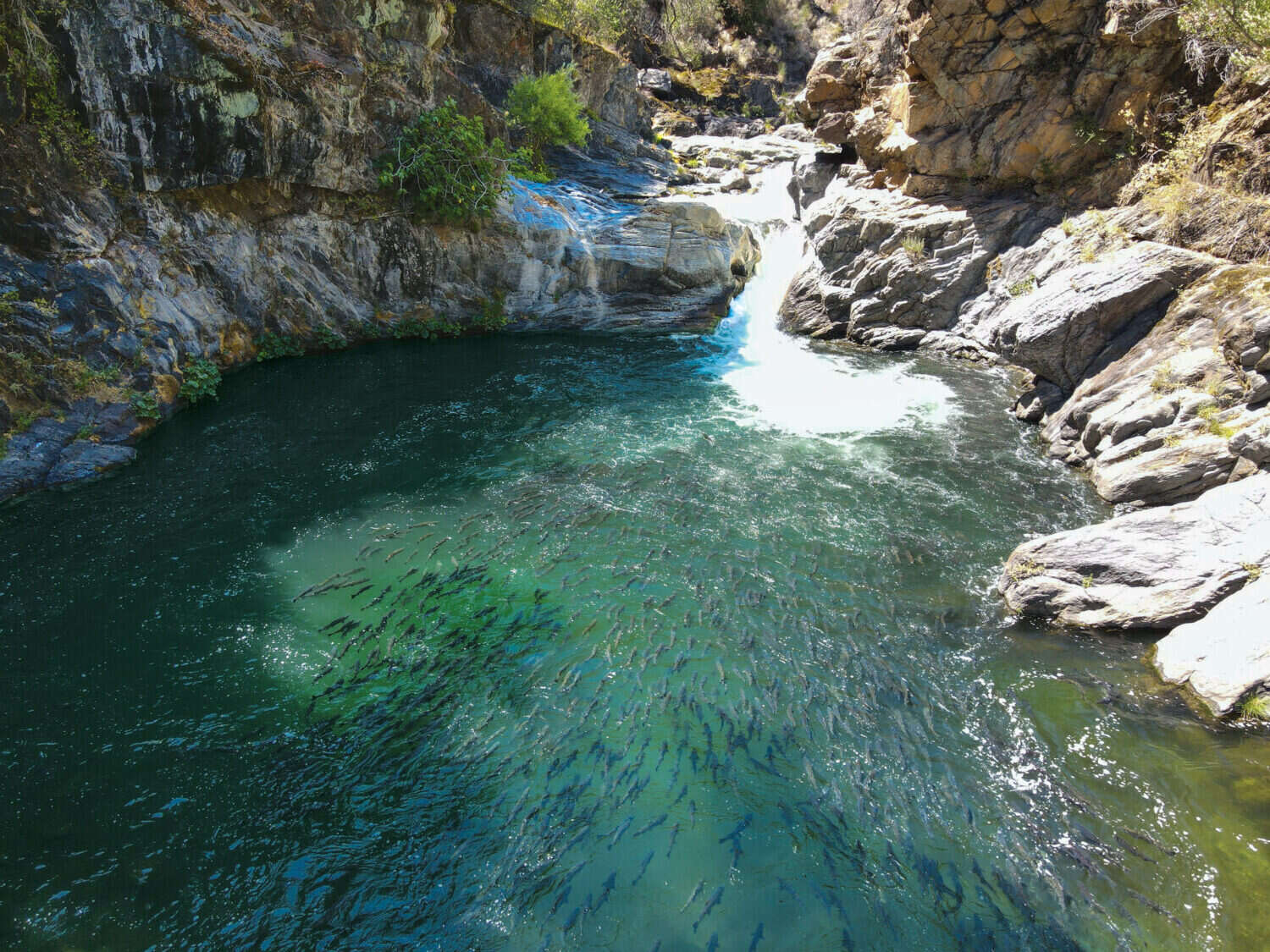 secrets-of-californias-fish-canyon-canyons