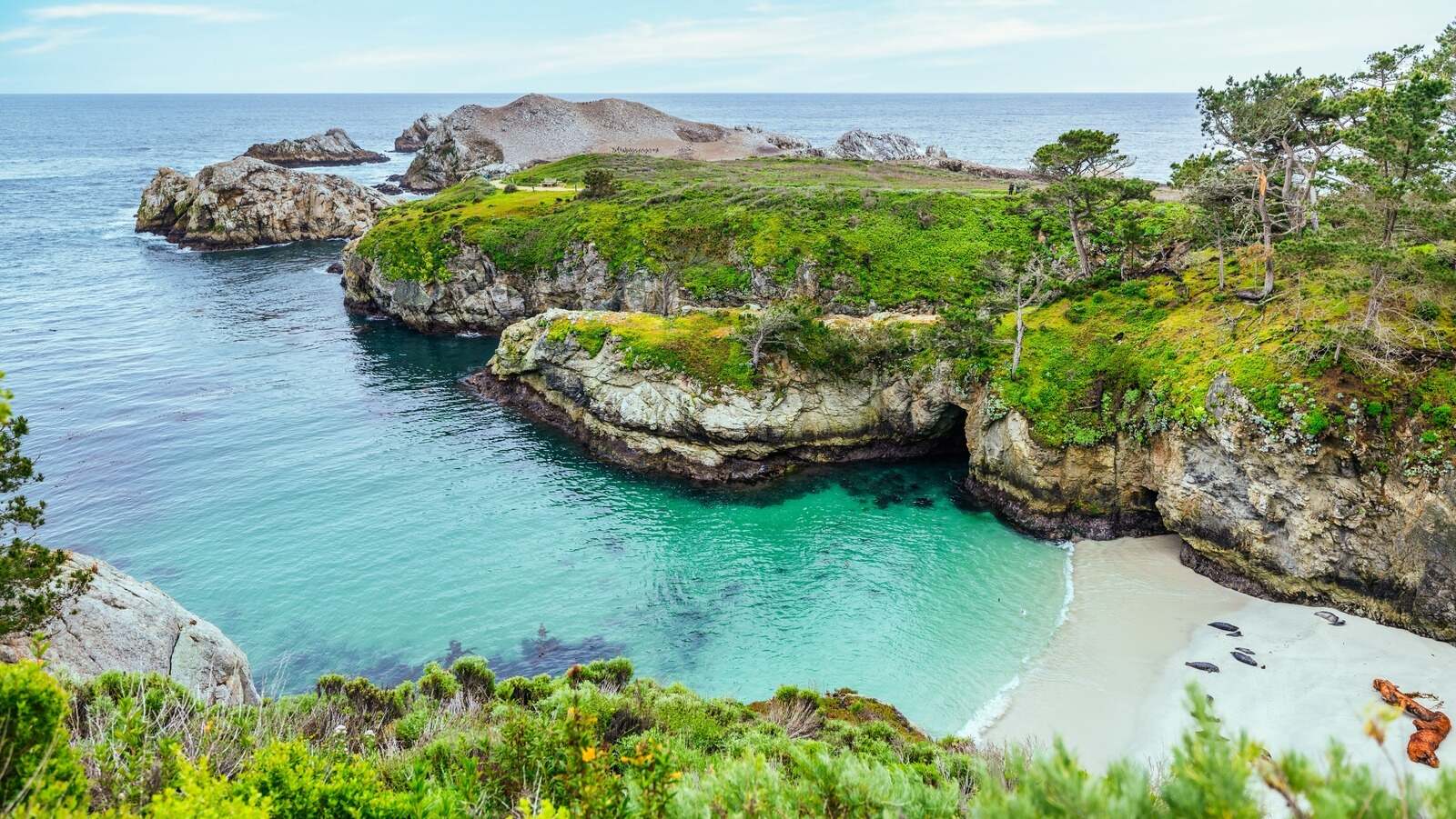 secrets-of-californias-point-lobos-coastal-bluffs