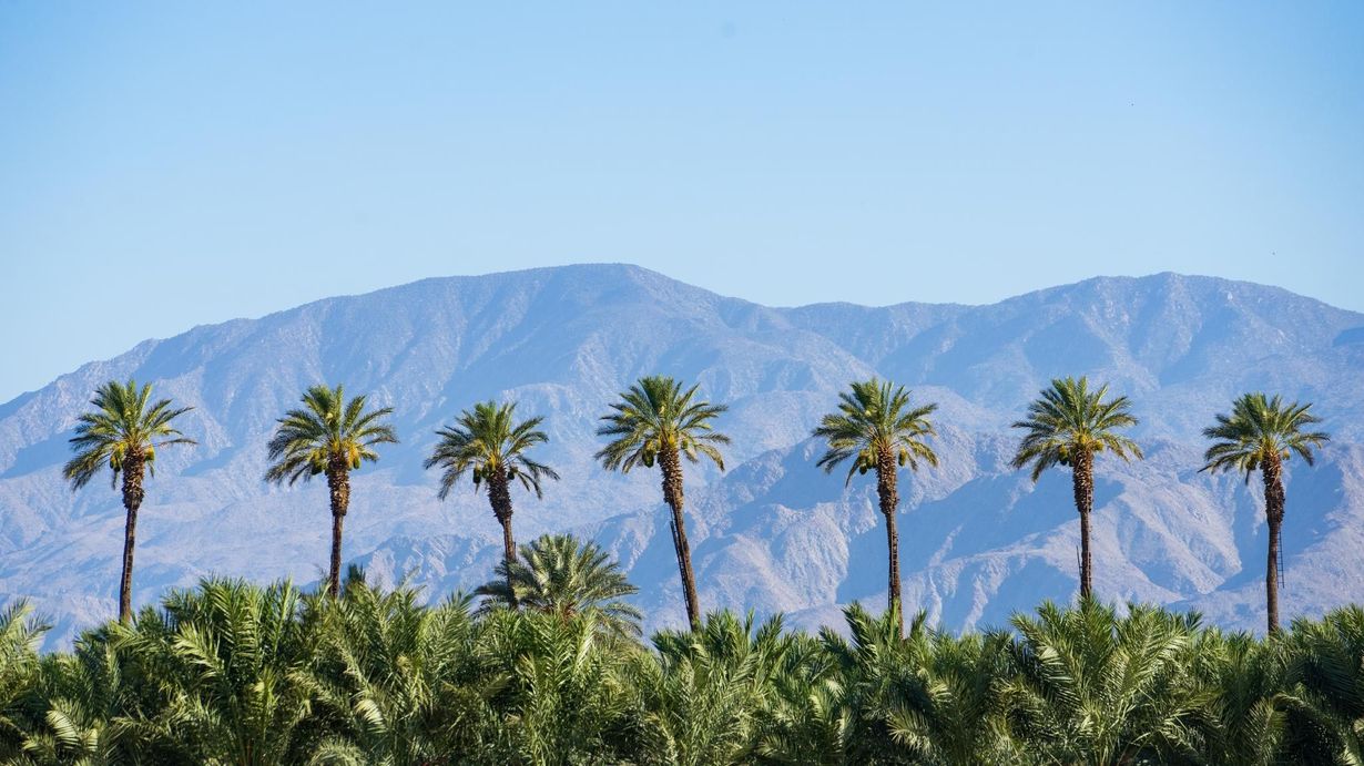secrets-of-californias-thousand-palms-oasis