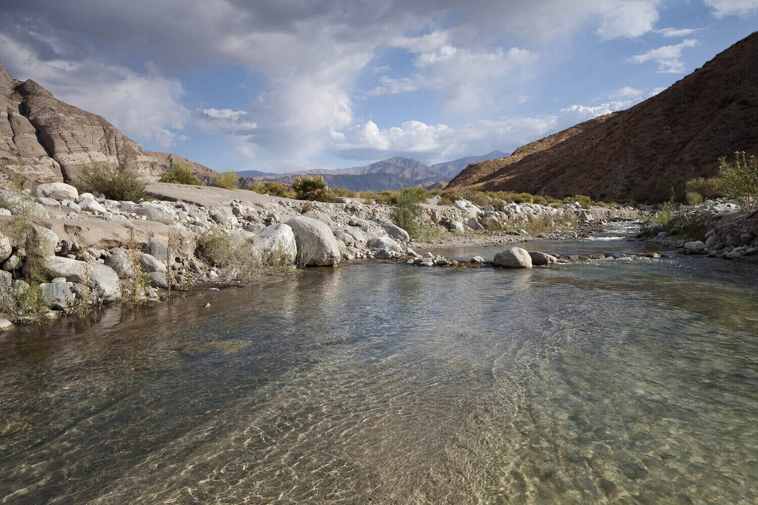 Secrets-Of-California8217s-Whitewater-Preserve-Oases secrets-of-californias-whitewater-preserve-oases