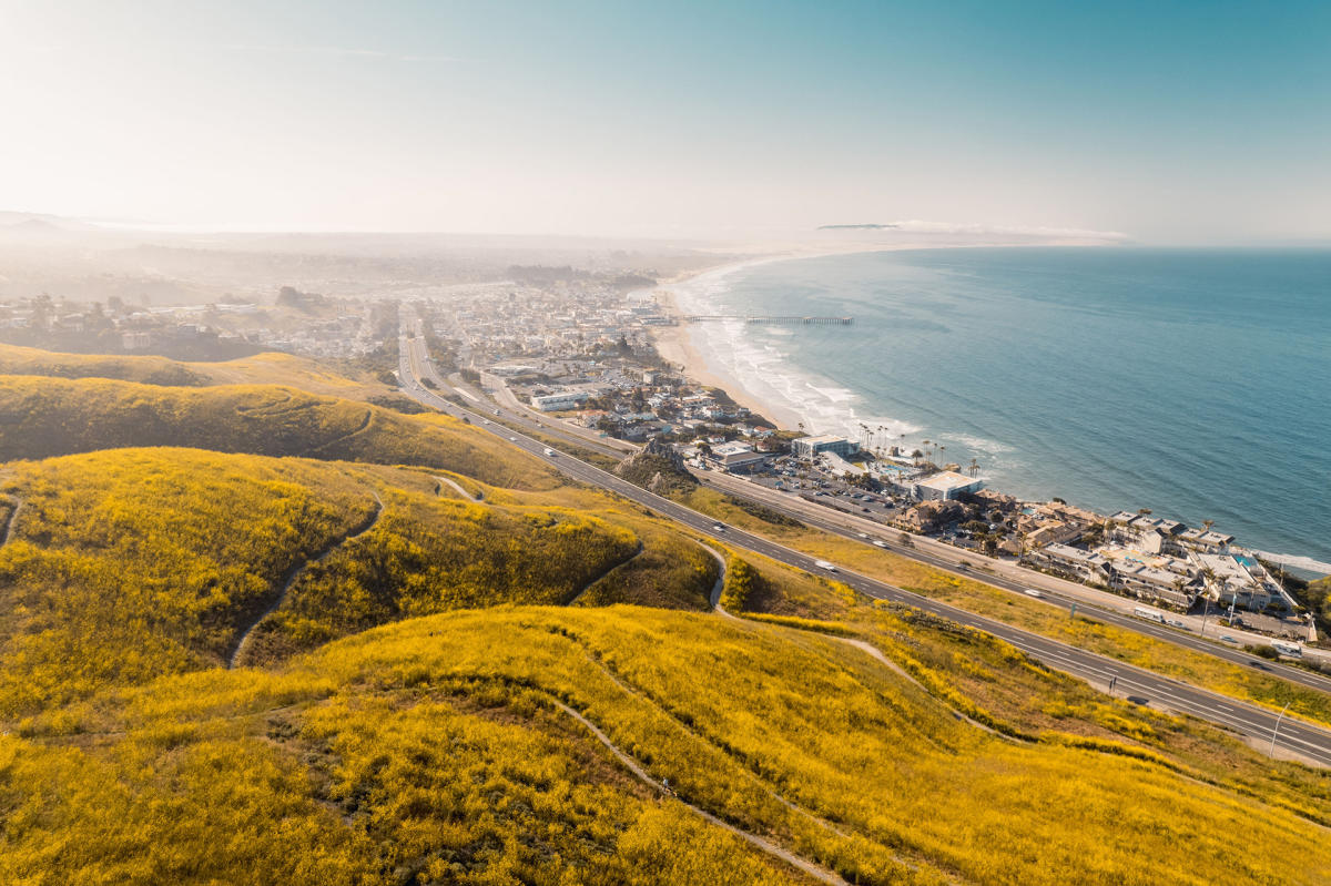 secrets-of-coastal-foraging-on-californias-central-coast