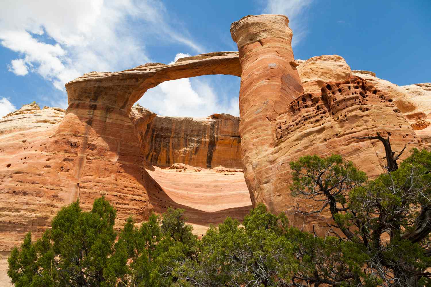 Secrets-Of-Colorado8217s-McInnis-Canyons-Arches secrets-of-colorados-mcinnis-canyons-arches