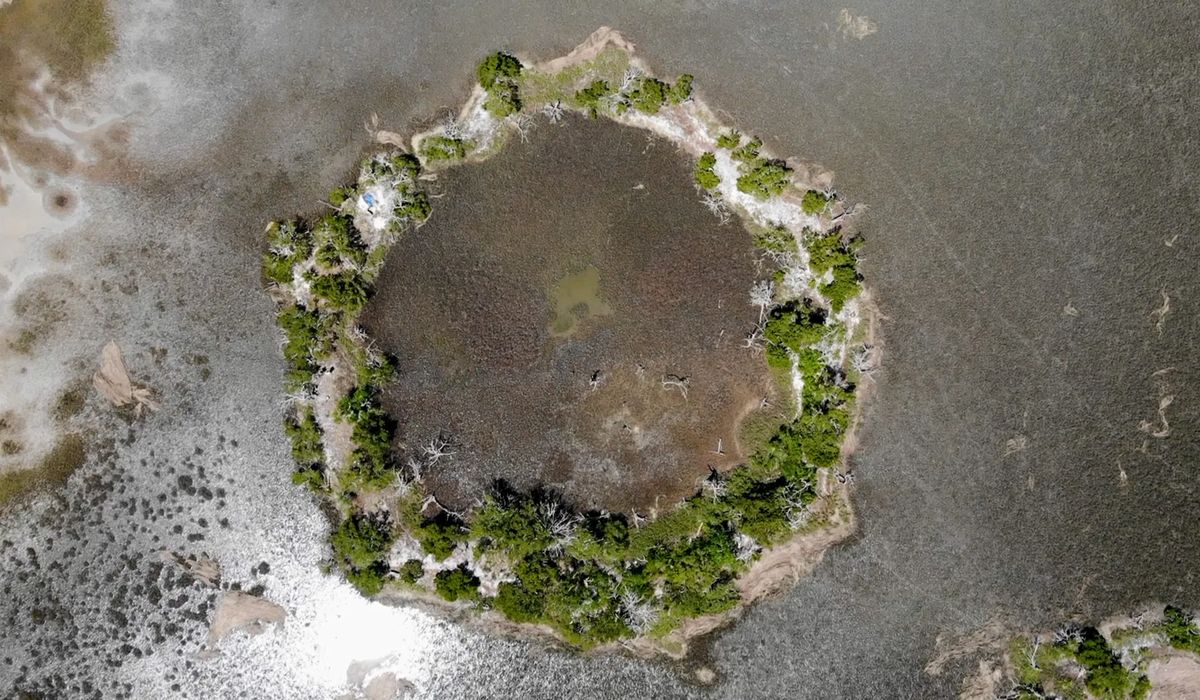 secrets-of-edisto-islands-ancient-shell-rings