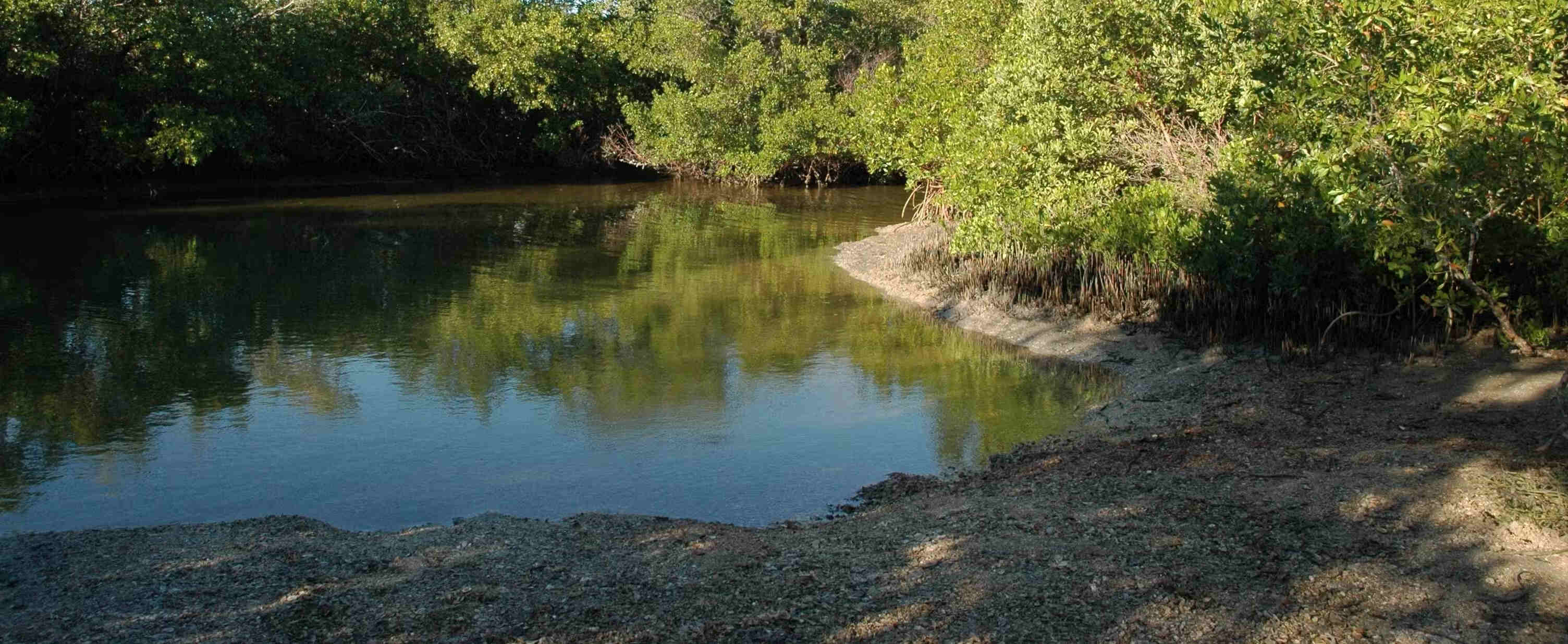 secrets-of-floridas-calusa-mounds-shell-middens