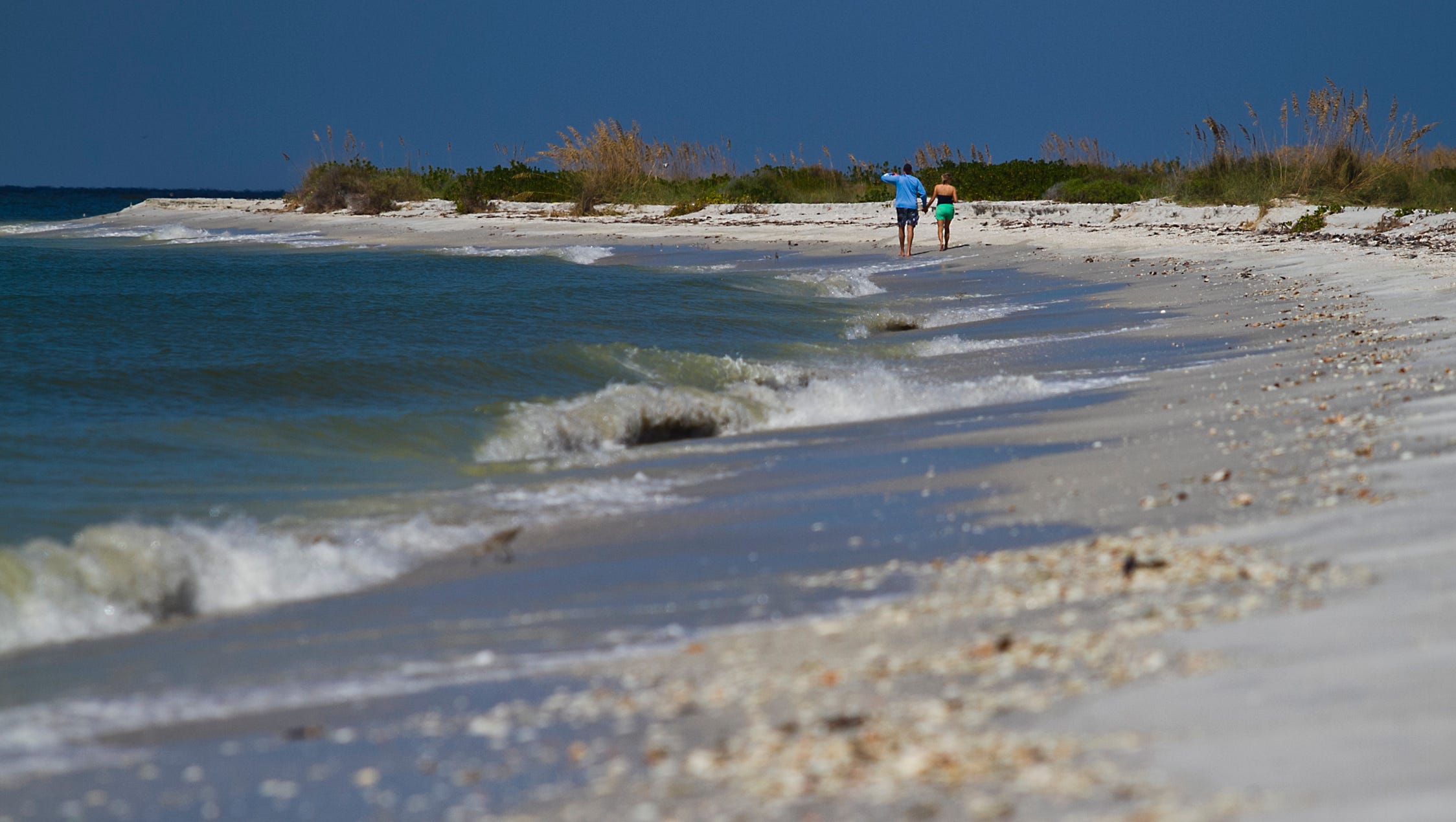 Secrets-Of-Florida8217s-Cayo-Costa-Shell-Middens secrets-of-floridas-cayo-costa-shell-middens