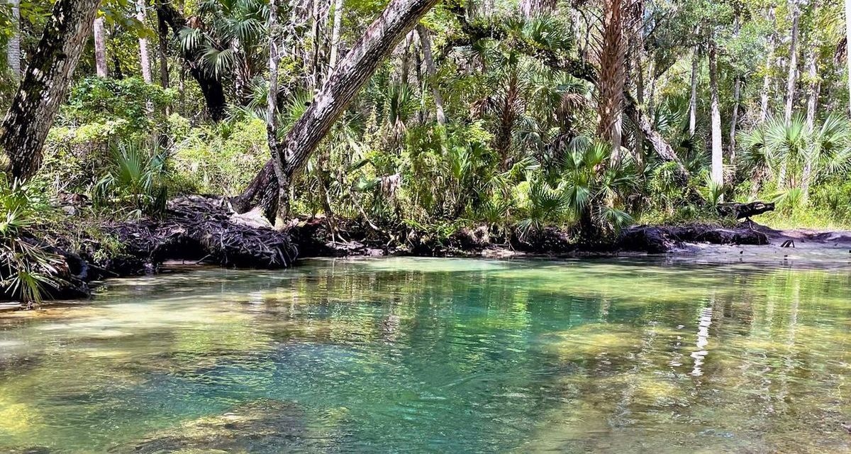 Secrets-Of-Florida8217s-Chassahowitzka-River-Spring-Basins secrets-of-floridas-chassahowitzka-river-spring-basins
