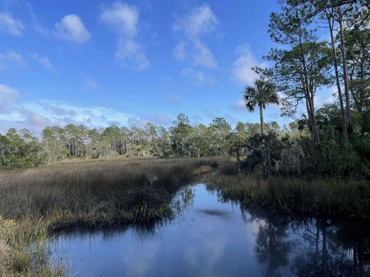 Secrets-Of-Florida8217s-Guana-River-Shell-Middens secrets-of-floridas-guana-river-shell-middens
