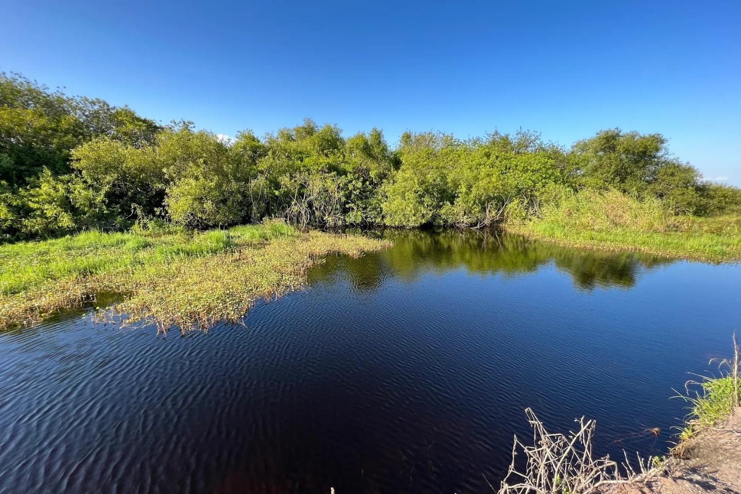secrets-of-floridas-mound-key-archaeological-state-park