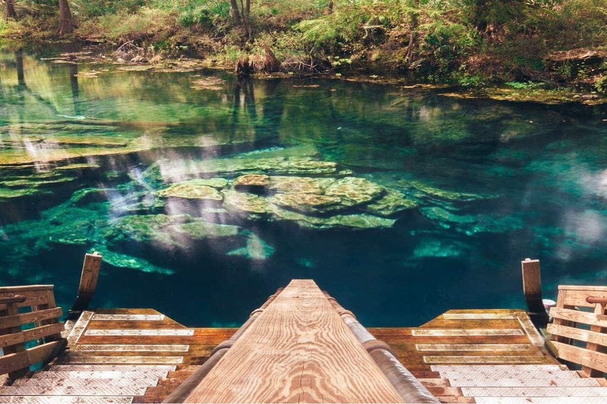 secrets-of-floridas-peacock-springs