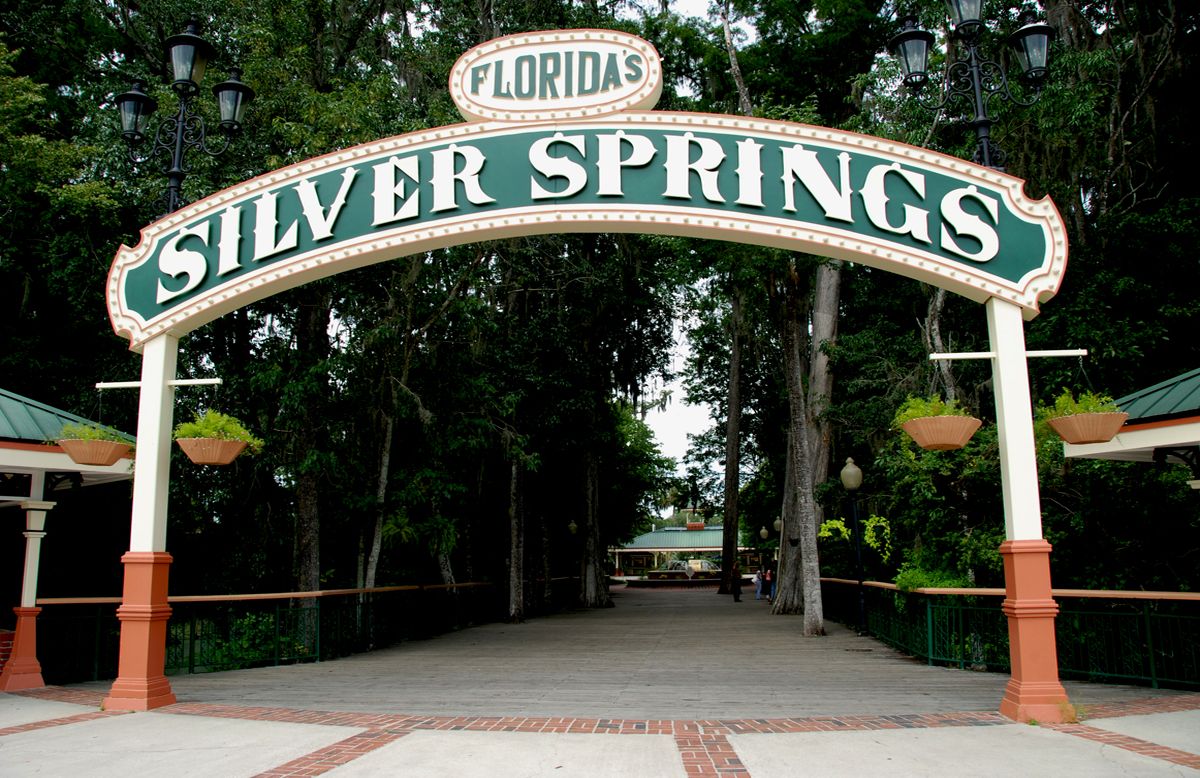 Secrets-Of-Florida8217s-Silver-Springs secrets-of-floridas-silver-springs