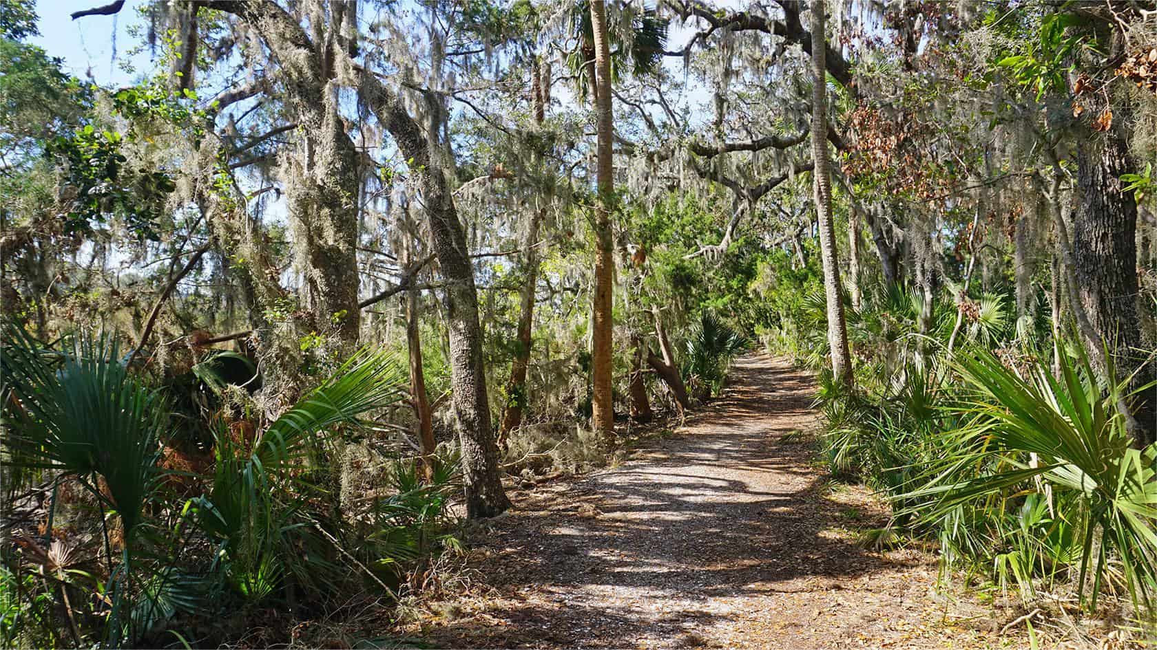 secrets-of-floridas-timucuan-preserve-shell-middens