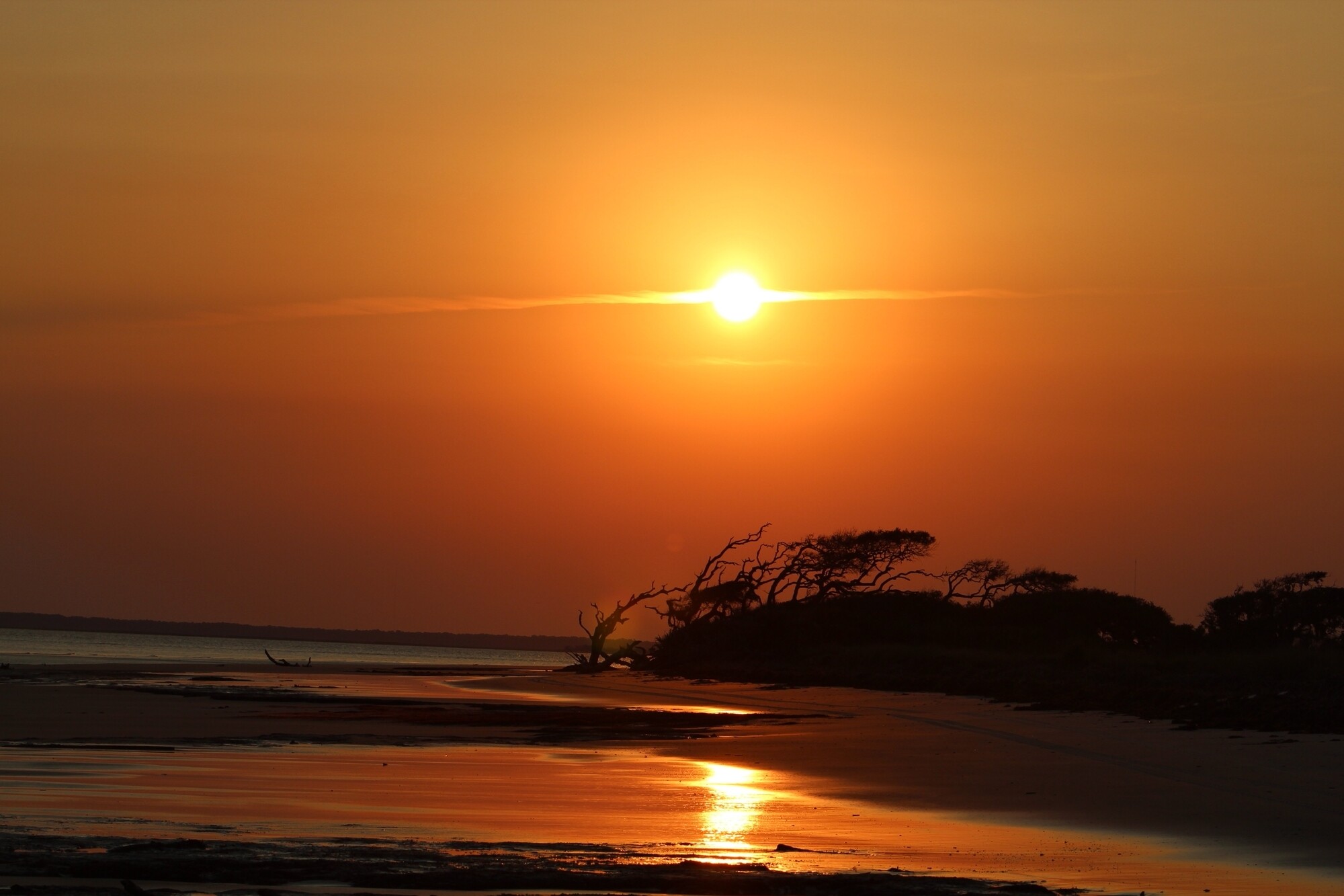 secrets-of-georgias-blackbeard-island