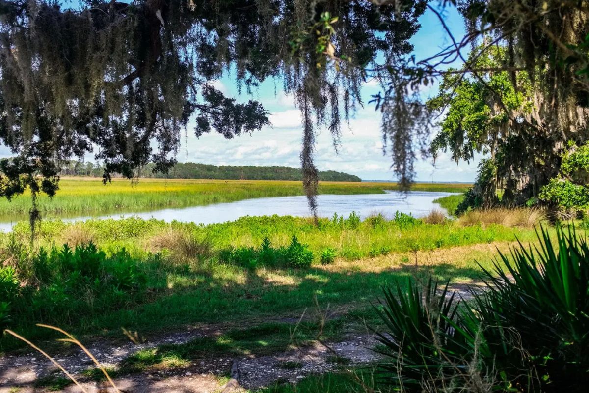 secrets-of-georgias-coastal-islands-in-sapelo-sound