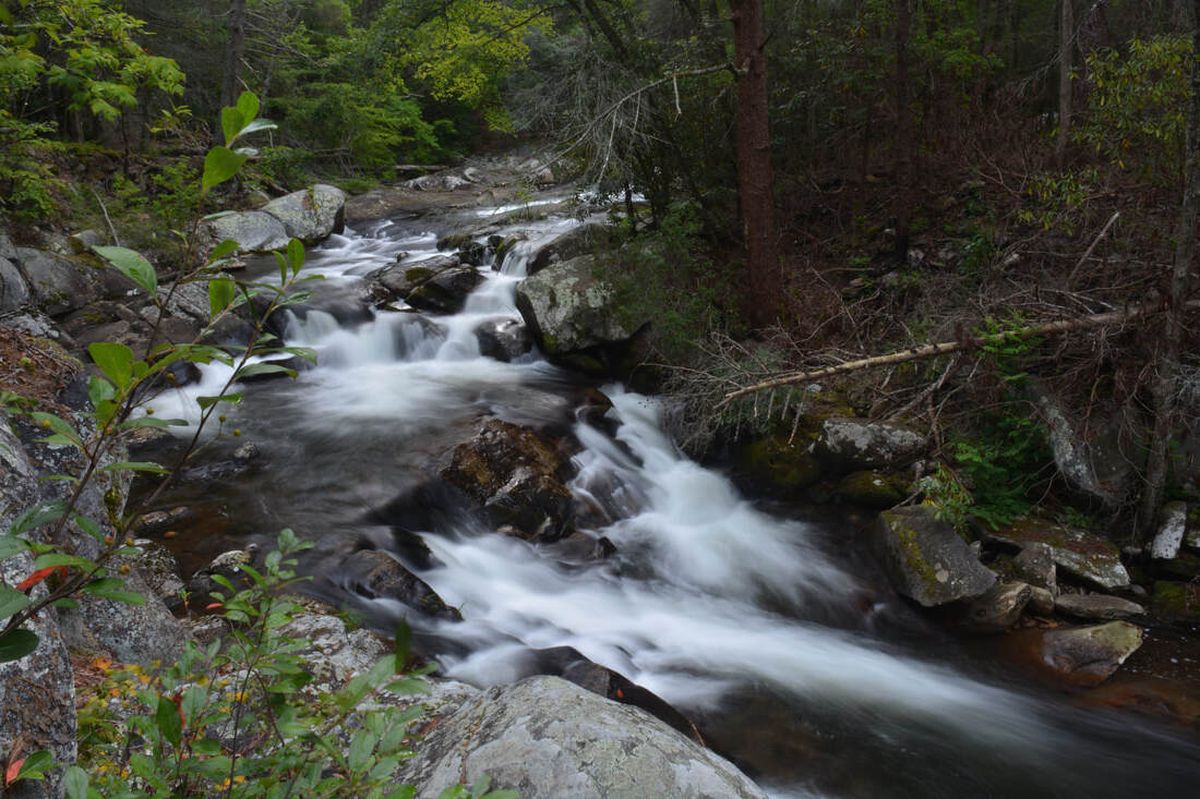Secrets-Of-Georgia8217s-Cohutta-Wilderness-Streams secrets-of-georgias-cohutta-wilderness-streams