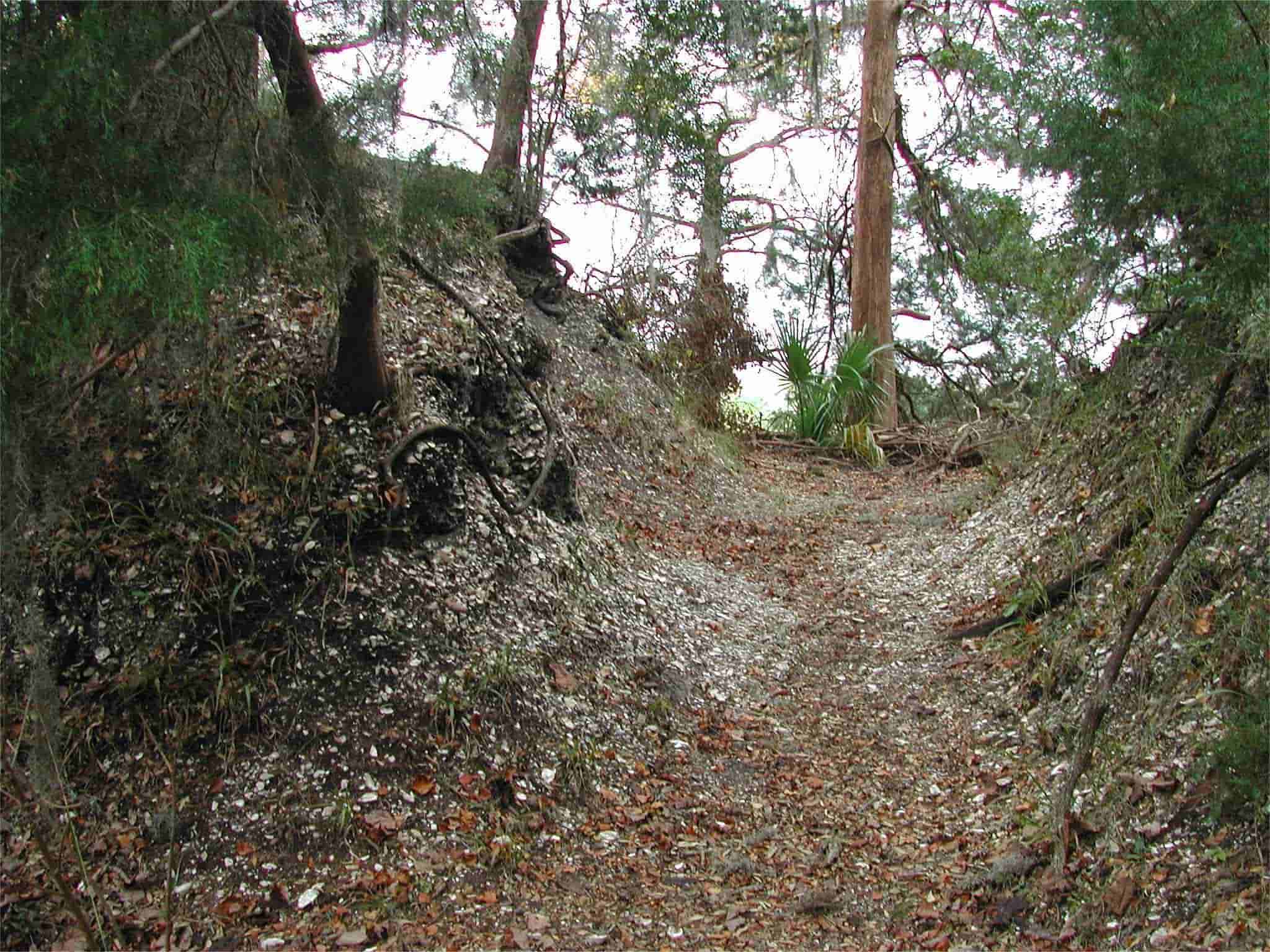 secrets-of-georgias-creighton-island-shell-mounds