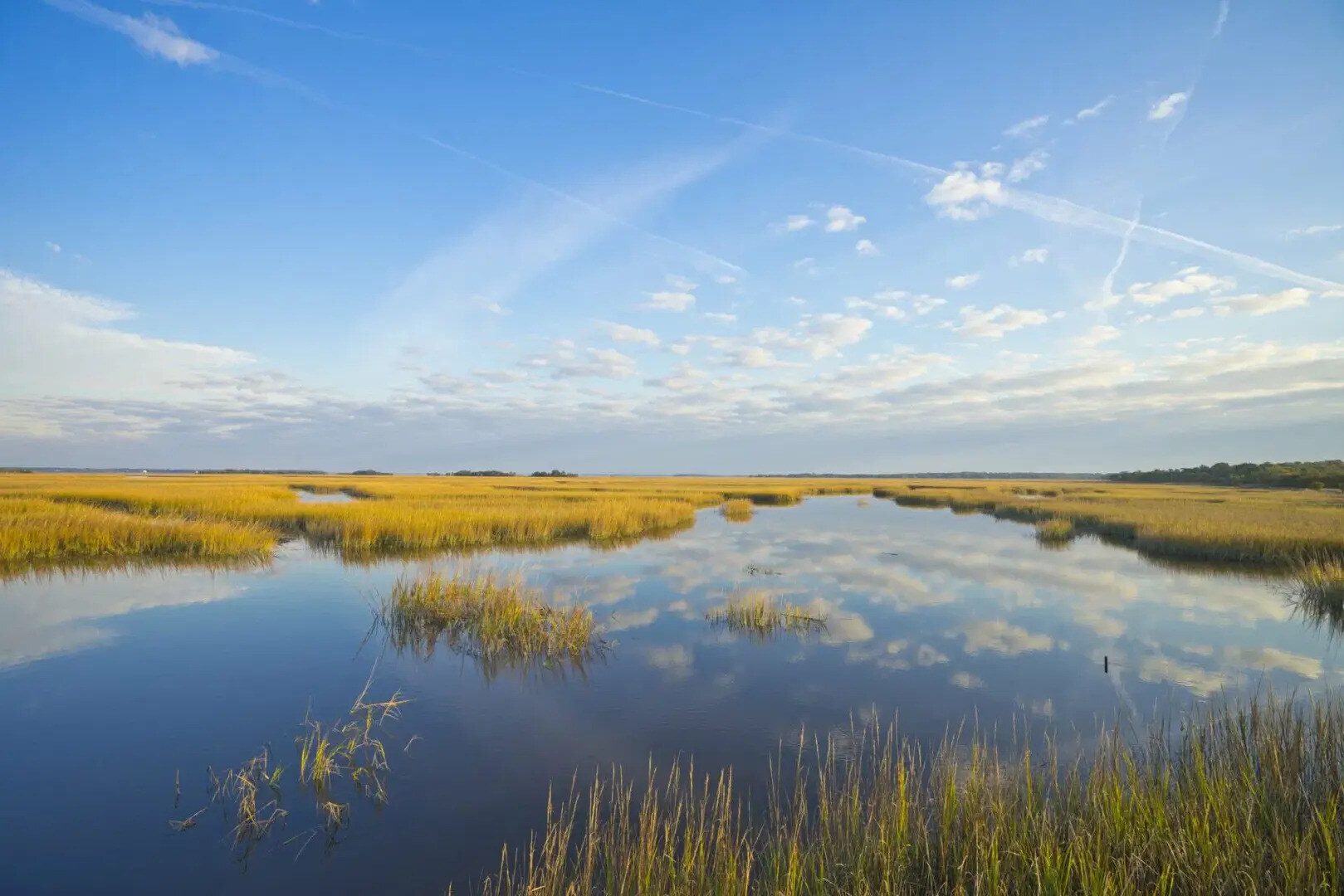 secrets-of-georgias-cumberland-island-estuaries