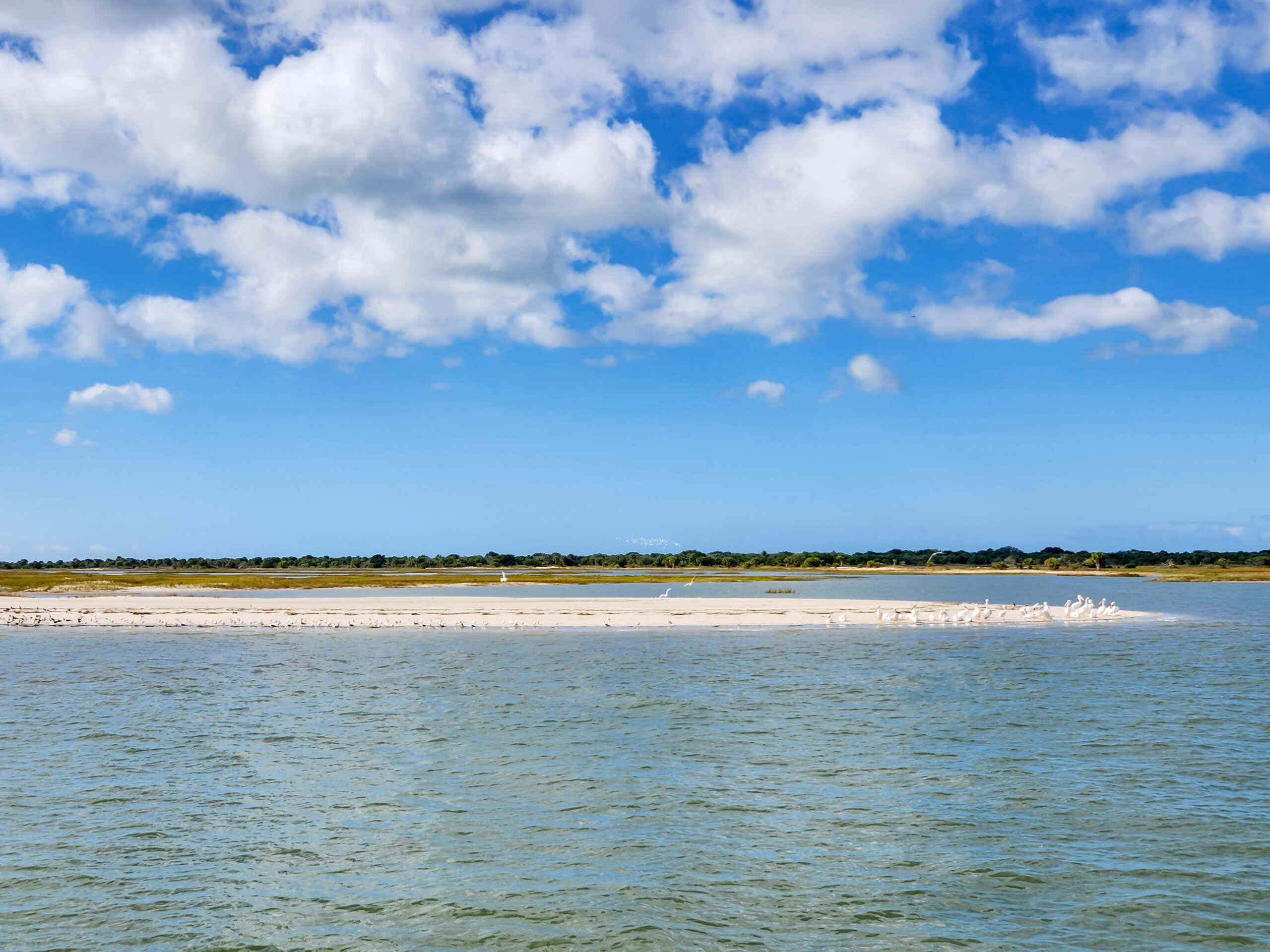 secrets-of-georgias-cumberland-island-river-islands