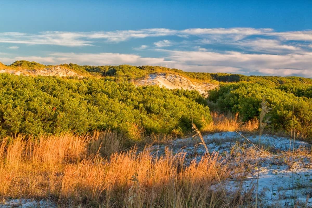 secrets-of-georgias-cumberland-island-wilderness