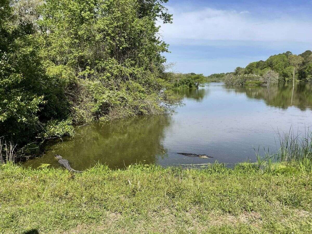 secrets-of-georgias-harris-neck-shell-middens