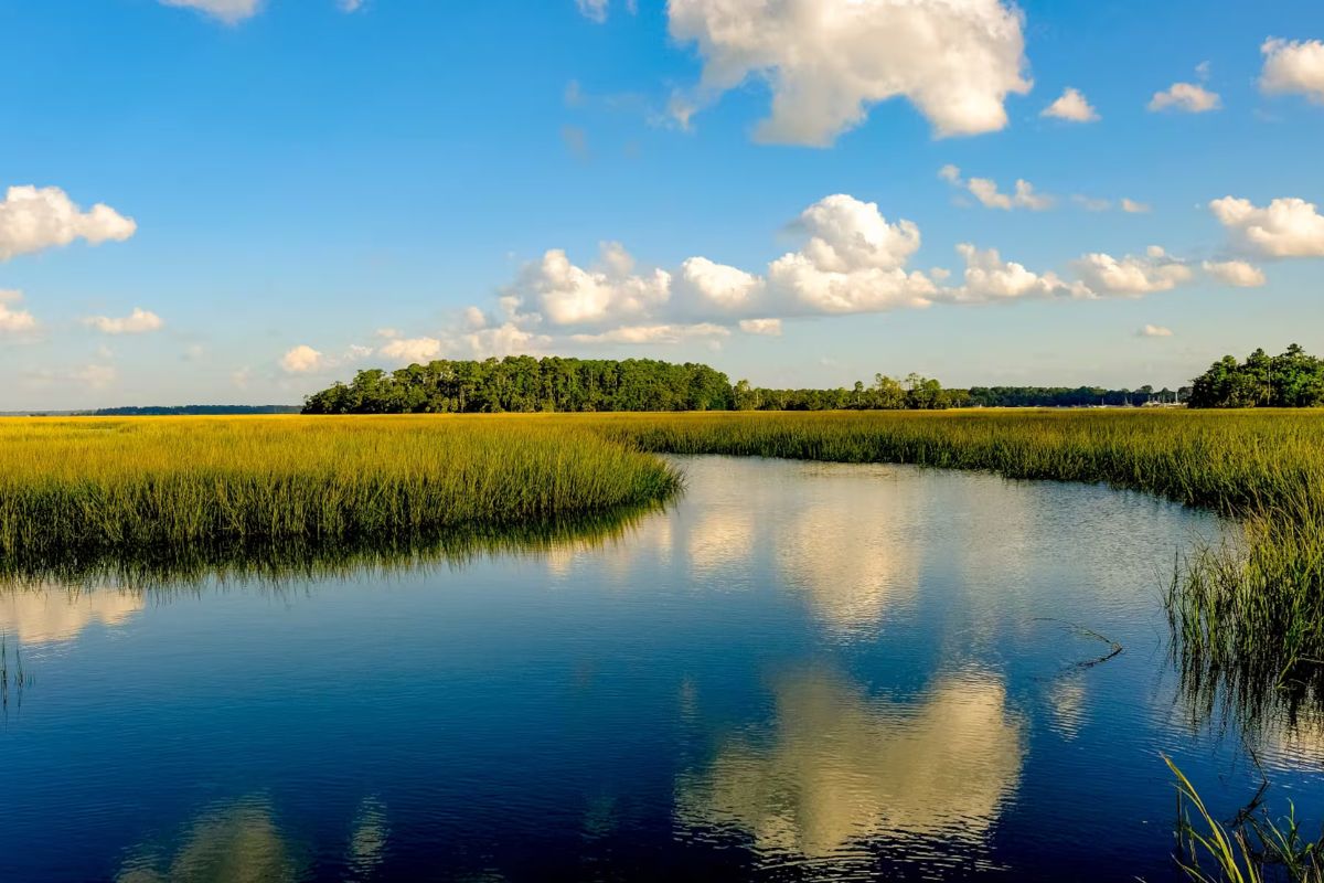 secrets-of-georgias-sea-islands-tidal-creeks