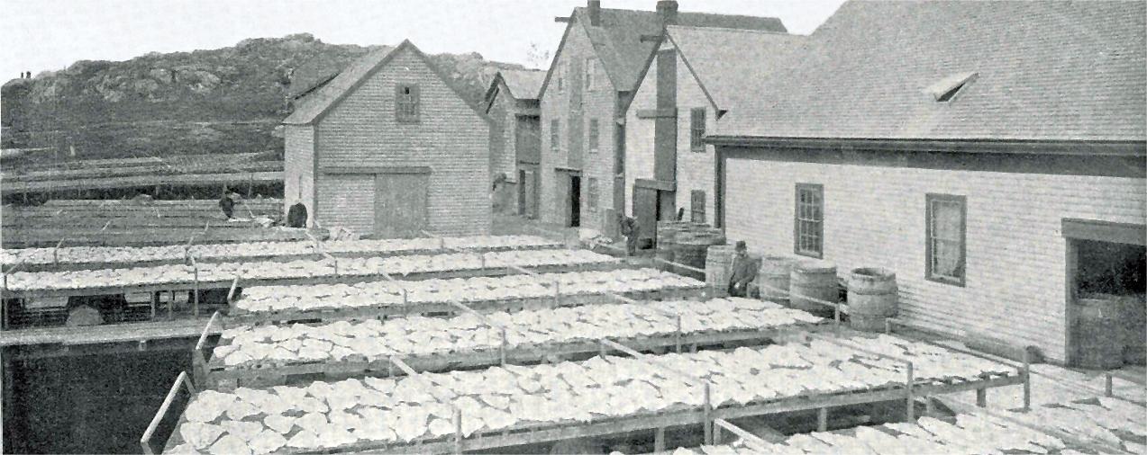 Secrets-Of-Gloucester8217s-Community-Supported-Fishery-Operations secrets-of-gloucesters-community-supported-fishery-operations