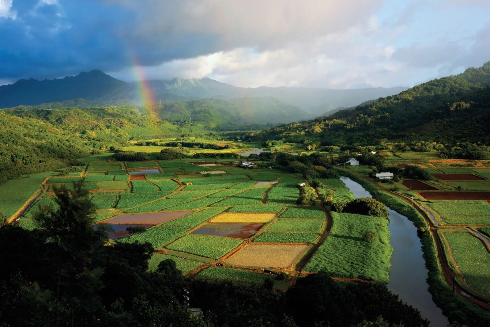 secrets-of-hawaiis-hanalei-valley-terraces
