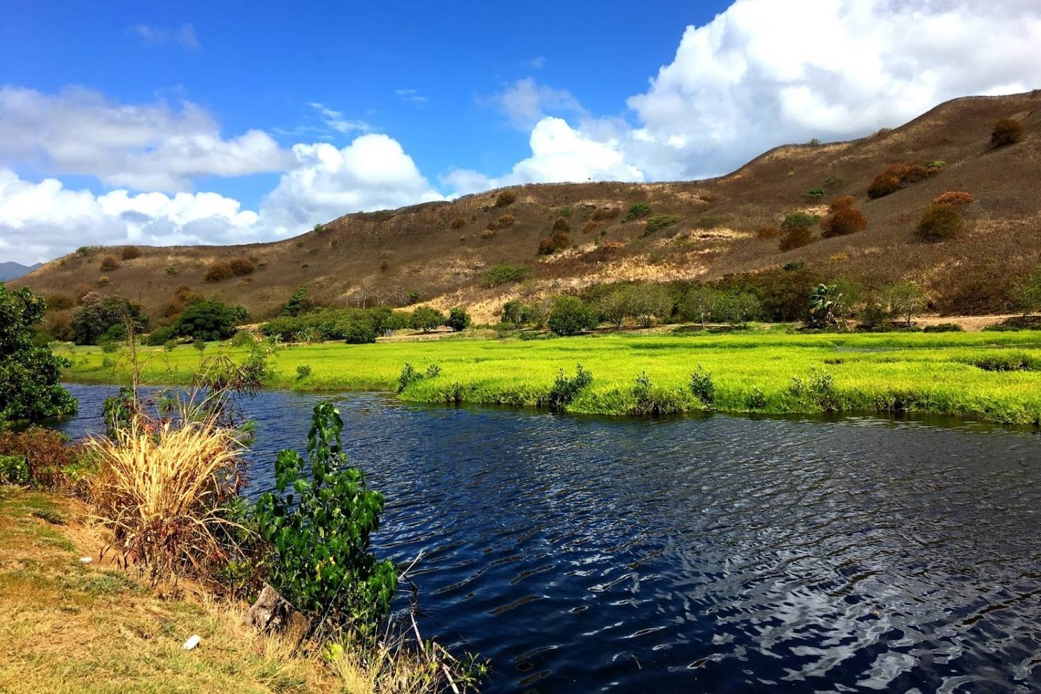 secrets-of-hawaiis-kawainui-marsh-terraces