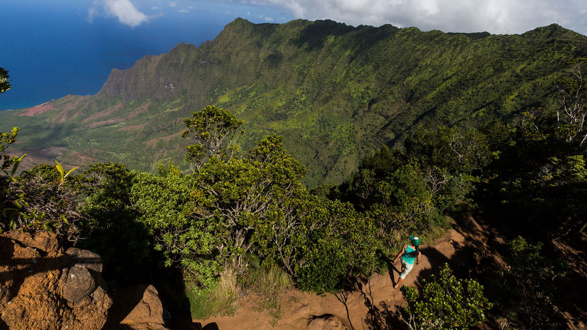 Secrets-Of-Hawaii8217s-Kokee-Terraces secrets-of-hawaiis-kokee-terraces