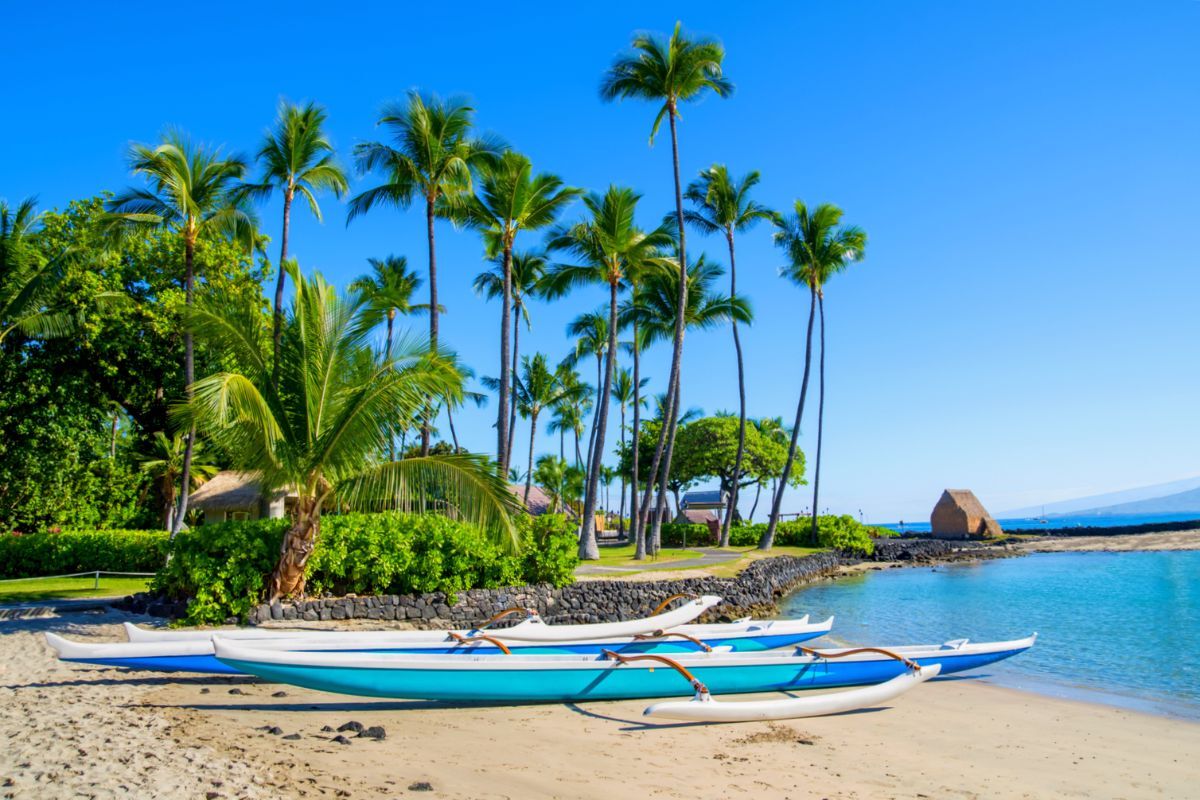 secrets-of-hawaiis-kona-coast-chocolatier-operations