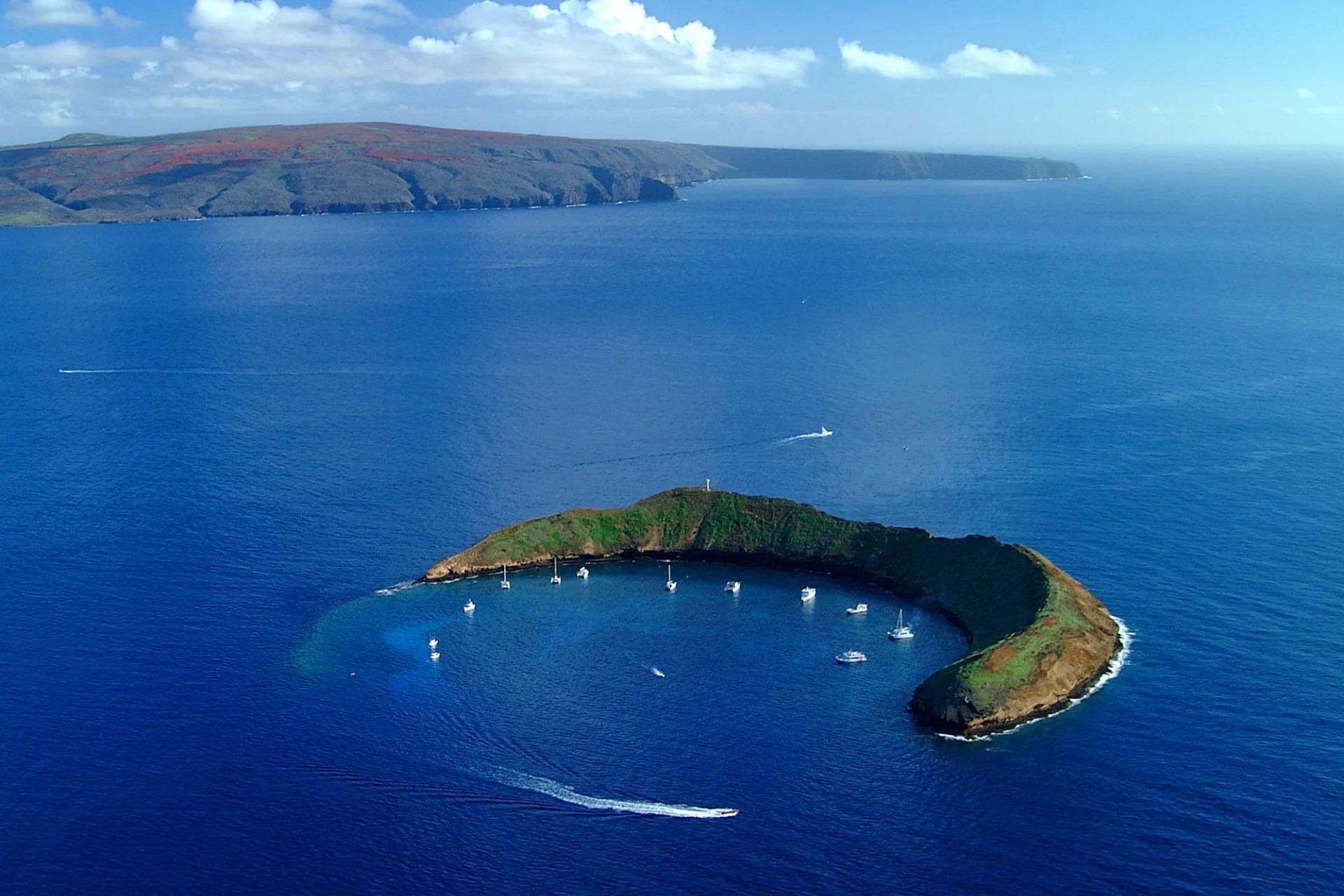 Secrets-Of-Hawaii8217s-Molokini-Crater-Coral-Reefs secrets-of-hawaiis-molokini-crater-coral-reefs