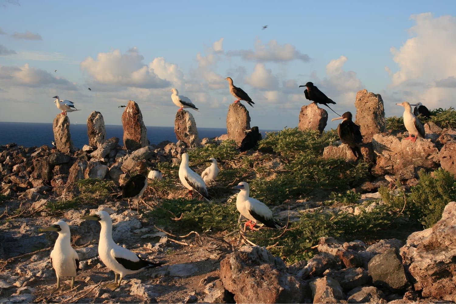 secrets-of-hawaiis-necker-island-stone-structures