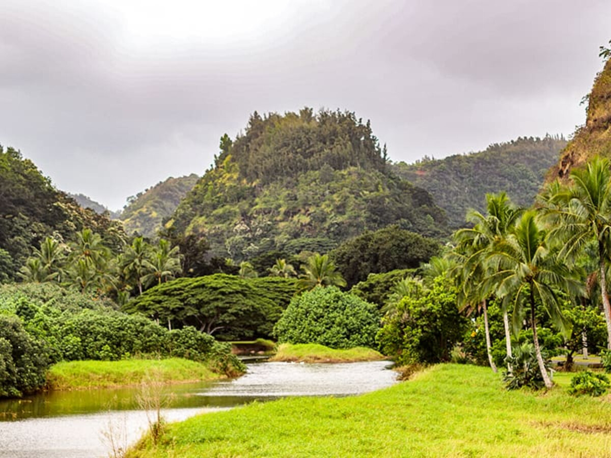 Secrets-Of-Hawaii8217s-Waimea-Valley-Terraces secrets-of-hawaiis-waimea-valley-terraces