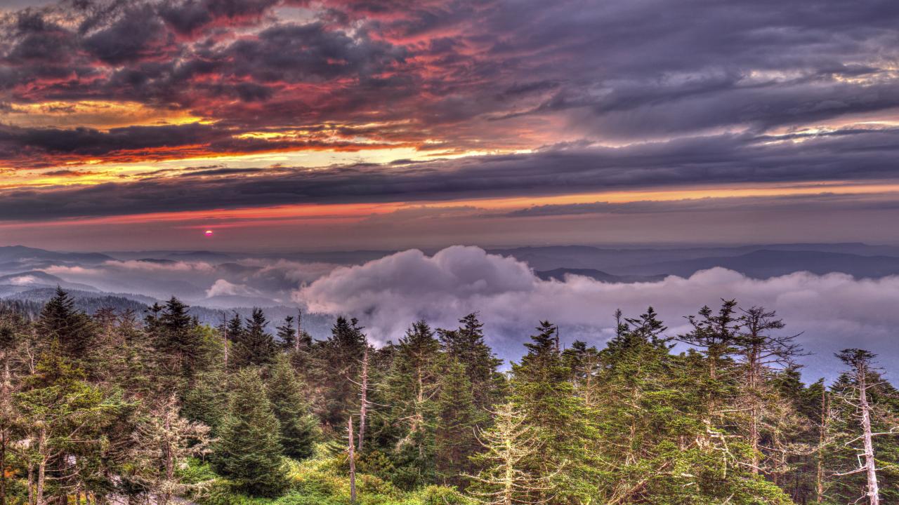 secrets-of-heirloom-seed-farms-in-tennessees-great-smoky-mountains