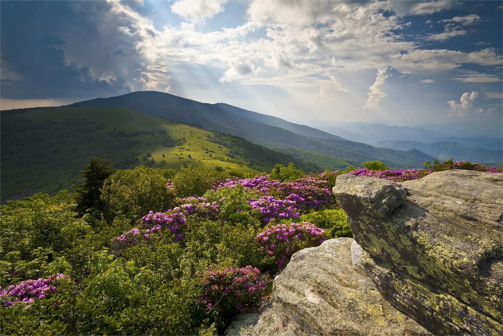 secrets-of-heritage-seed-saving-in-north-carolinas-appalachia