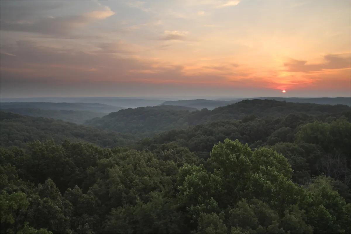 secrets-of-indianas-hoosier-national-forest-groves