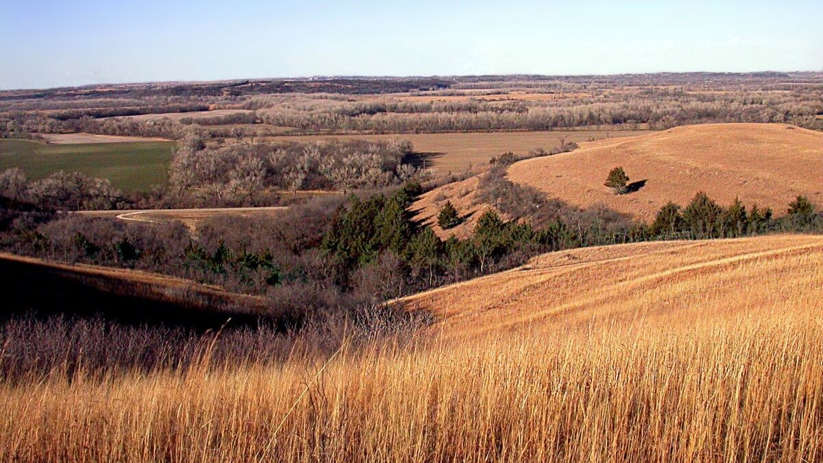 secrets-of-kansass-flint-hills-cattle-drives