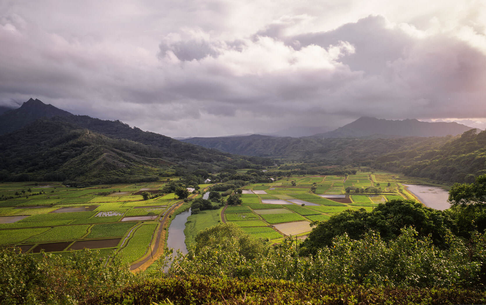secrets-of-kauais-cascading-rice-terraces