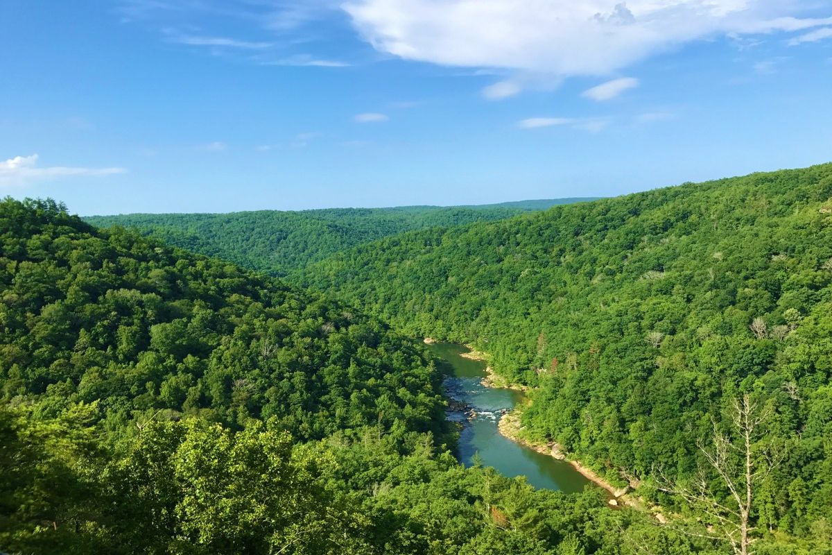 Secrets-Of-Kentucky8217s-Big-South-Fork-Forest-Hollows secrets-of-kentuckys-big-south-fork-forest-hollows