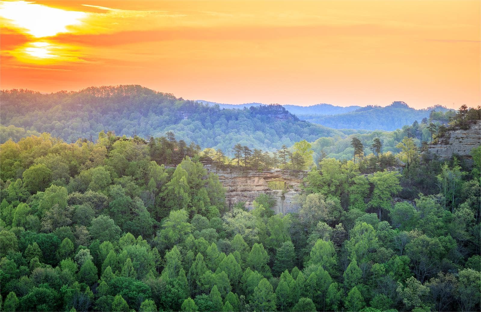 Secrets-Of-Kentucky8217s-Daniel-Boone-Forest-Paths secrets-of-kentuckys-daniel-boone-forest-paths