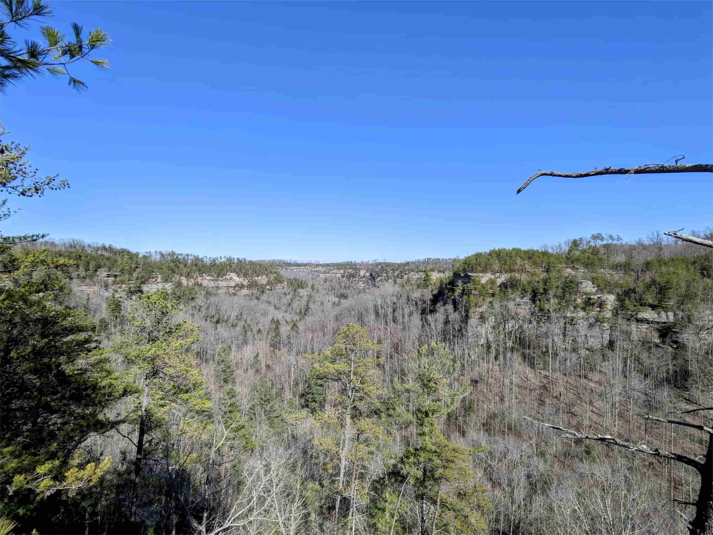 Secrets-Of-Kentucky8217s-Martin8217s-Fork-Forest-Hollows secrets-of-kentuckys-martins-fork-forest-hollows