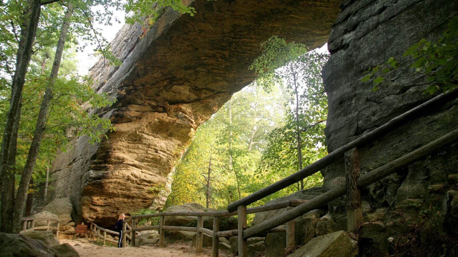 secrets-of-kentuckys-natural-arch-forest-hollows