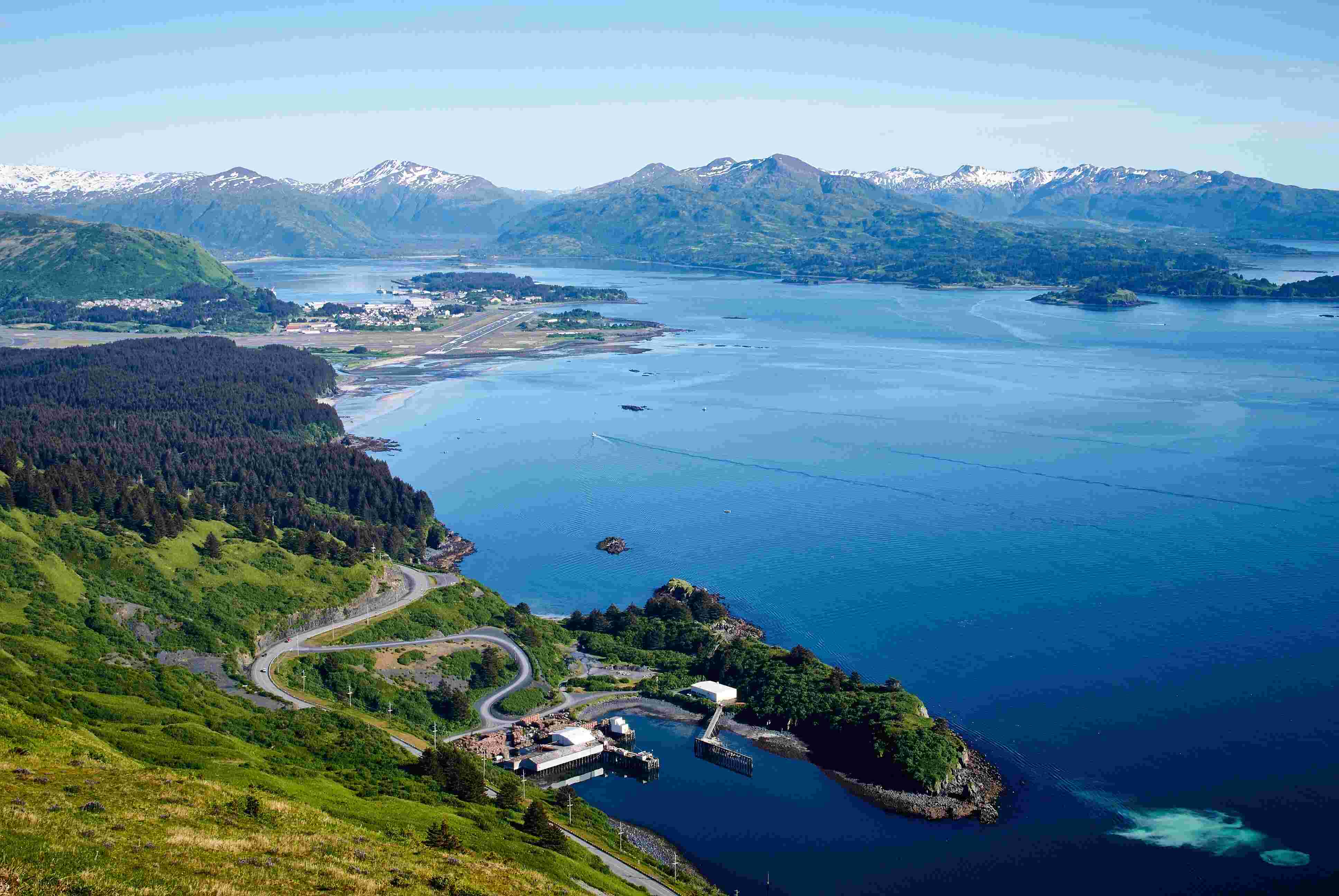 Secrets-Of-Kodiak-Island8217s-Ancient-Forest-Groves secrets-of-kodiak-islands-ancient-forest-groves