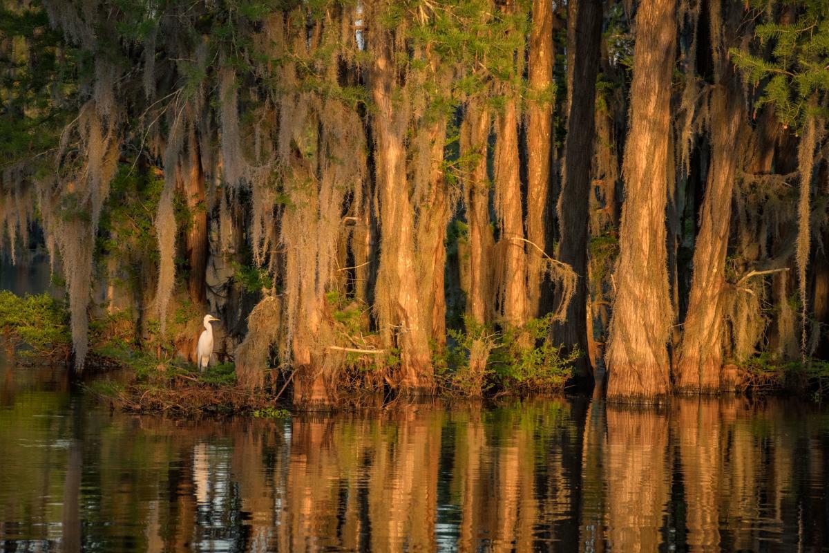 secrets-of-louisianas-atchafalaya-basin-fishing-camps