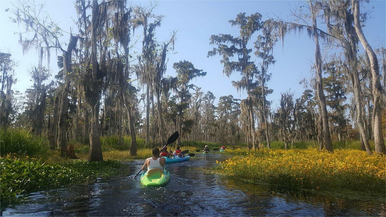 Secrets-Of-Louisiana8217s-Pearl-River-Islands secrets-of-louisianas-pearl-river-islands