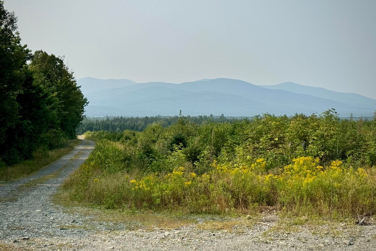 secrets-of-maines-100-mile-wilderness-meadows