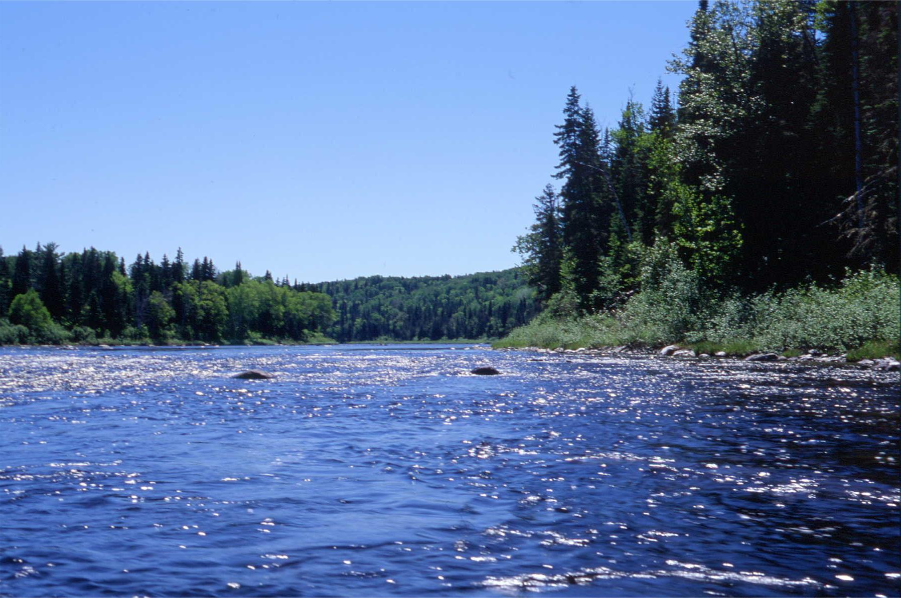 secrets-of-maines-allagash-wilderness-forests
