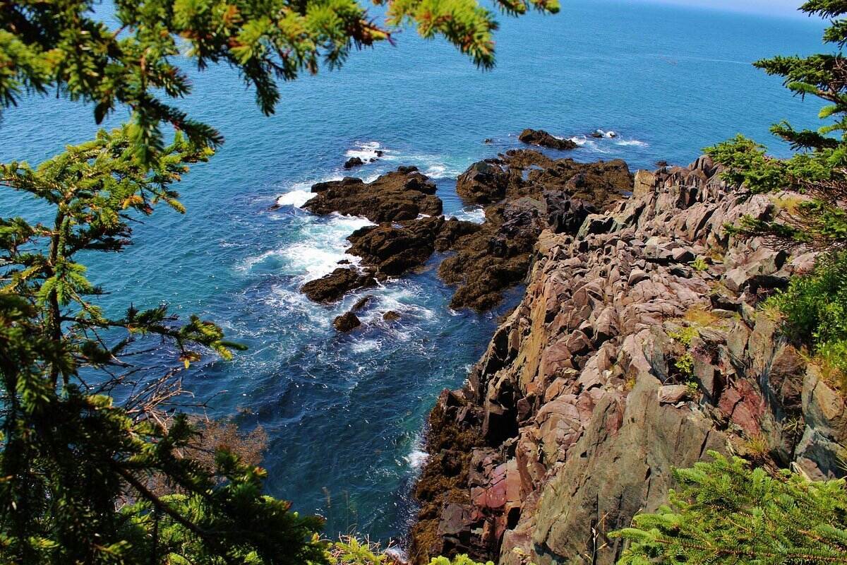 secrets-of-maines-bold-coast-woodlands