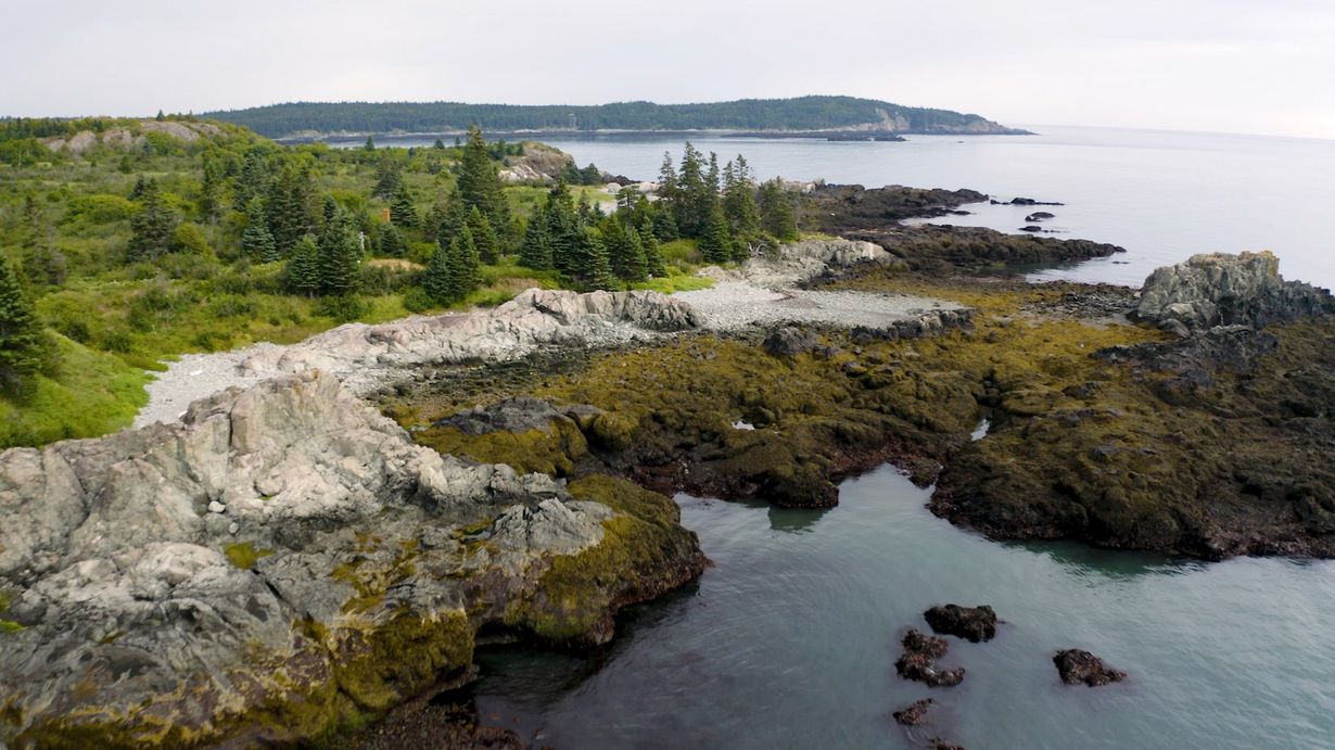 Secrets-Of-Maine8217s-Pristine-Bog-Islands secrets-of-maines-pristine-bog-islands