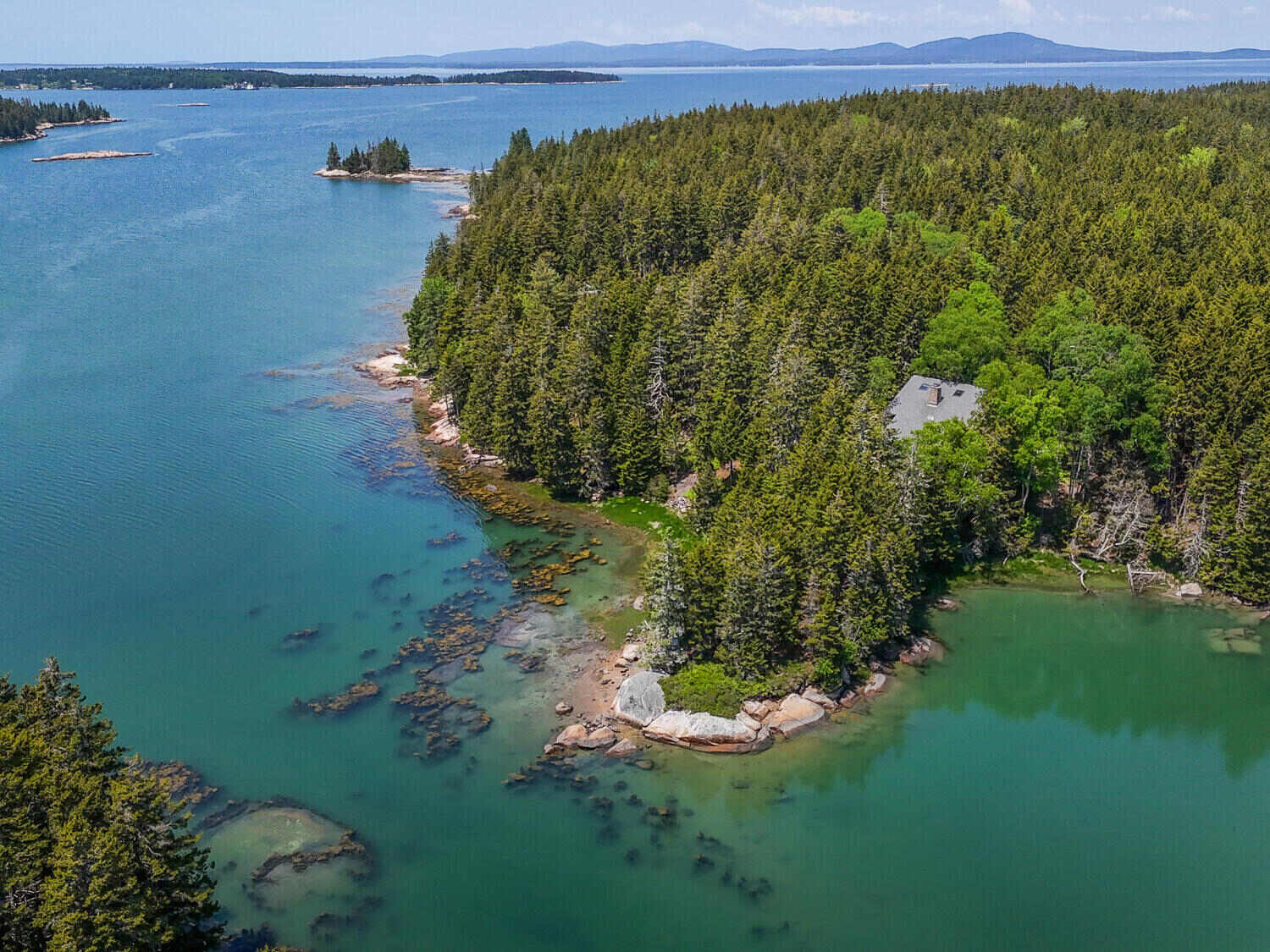 secrets-of-maines-swans-island