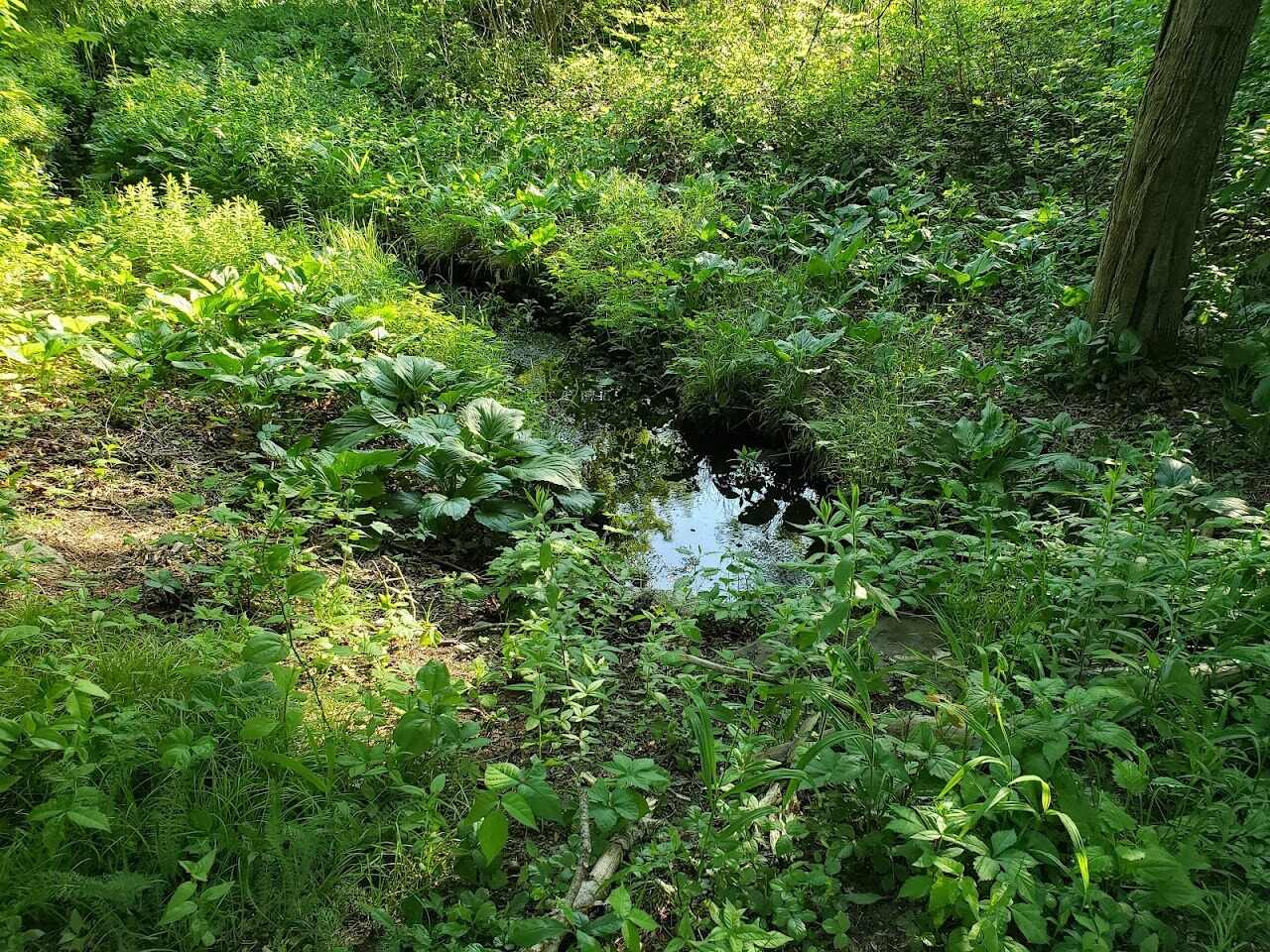 secrets-of-massachusettss-dighton-rock